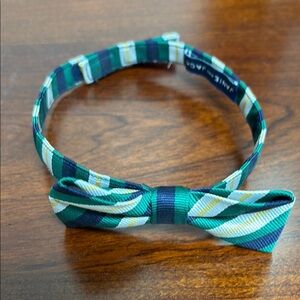 Striped Bow Tie in Green and Blue